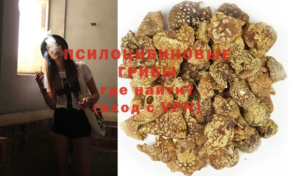 дживик Алексин