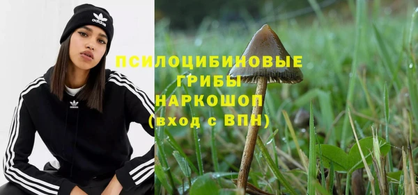 дживик Алексин