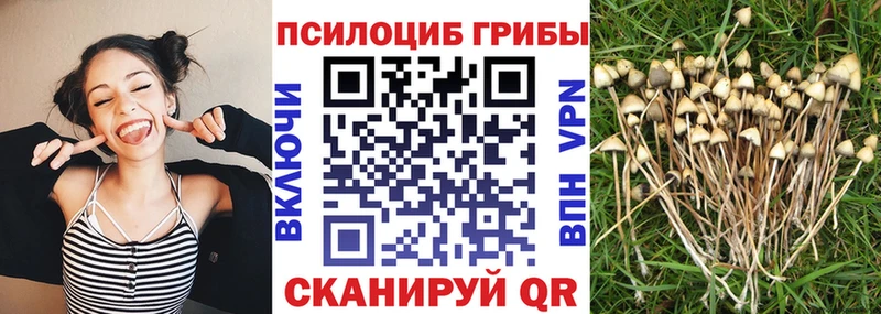 Псилоцибиновые грибы прущие грибы  наркота  Семилуки 