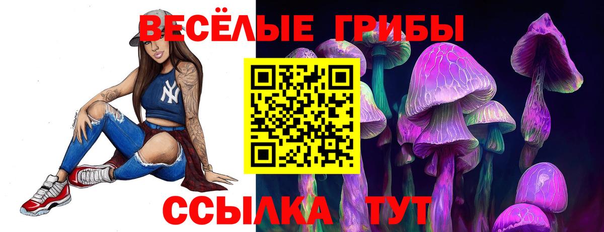 Семилуки  Псилоцибиновые грибы Psilocybine cubensis  Галлюциногенные грибы мухоморы  Вход с VPN 