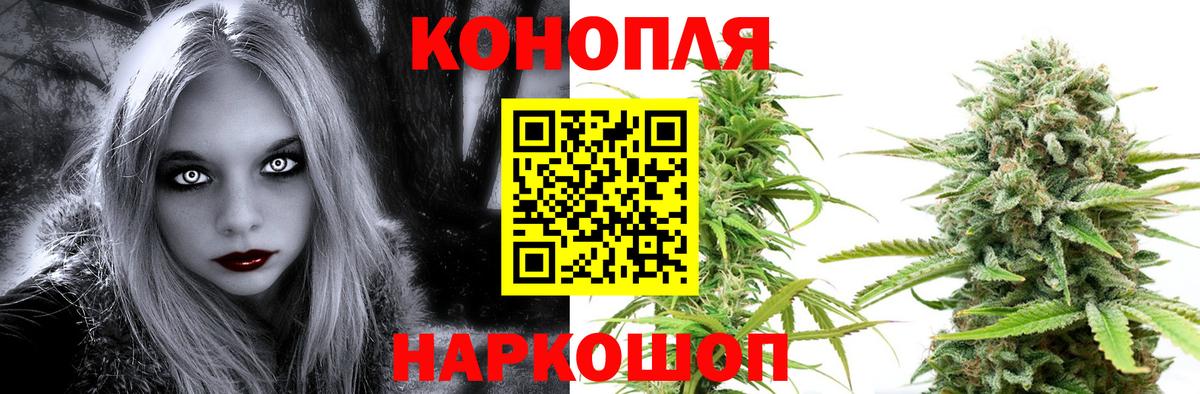 Шишки марихуана OG Kush  Канабис семена  Вход с VPN  МАРИХУАНА планчик  Семилуки 